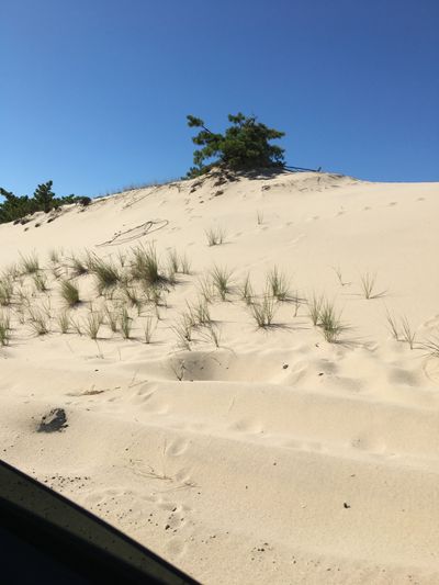 alyssajohnsononlyfans thumbnail