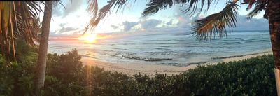 lc-bean2626 thumbnail