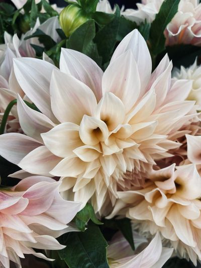 careyxlynn thumbnail