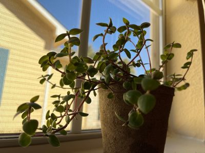 kalebgriffin thumbnail