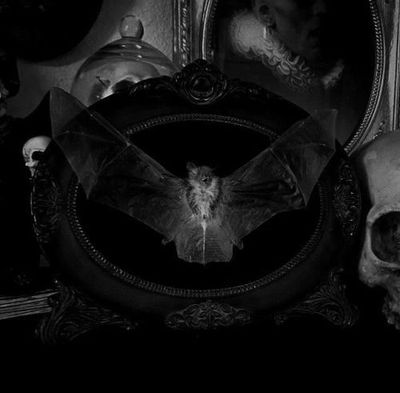 satanistbabyyy thumbnail