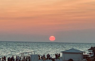 your-neighbors thumbnail