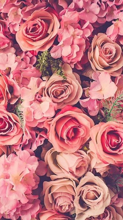 ameliaroseonly thumbnail