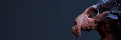 kanecastigo thumbnail