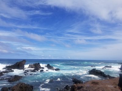 stonedcentral thumbnail