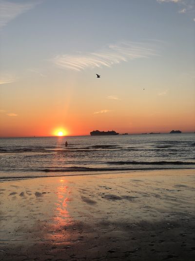 nofacenocase1994 thumbnail