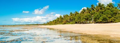 u184676794 thumbnail