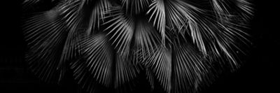 Bastos with Love thumbnail