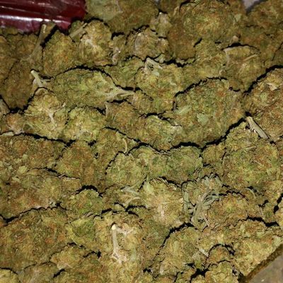 lordwilliedick thumbnail