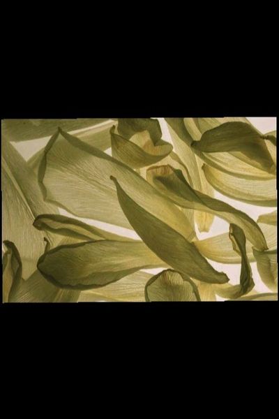 friday.grl.free thumbnail