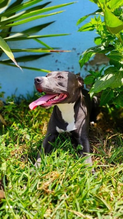 eira.turan thumbnail