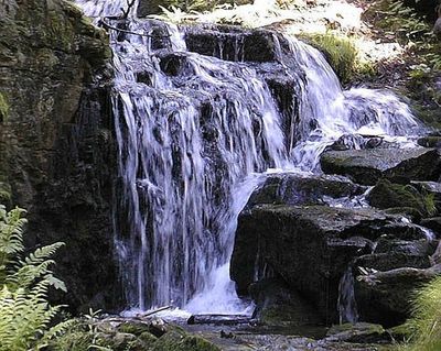 fragile_emptiness profile