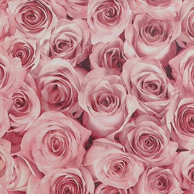 koreanndolll thumbnail