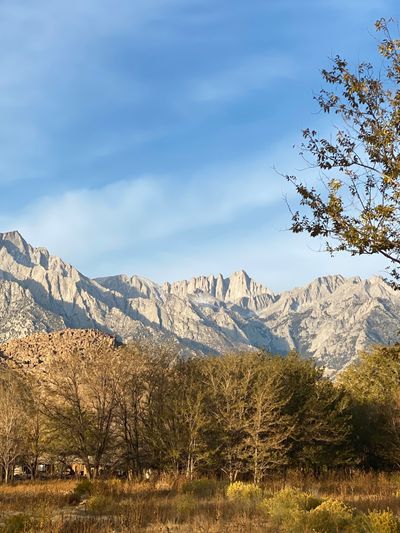 bettie_bondage thumbnail