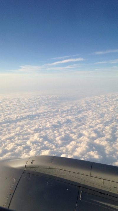 king-titan thumbnail