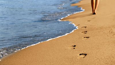 sophies.soft.feet thumbnail