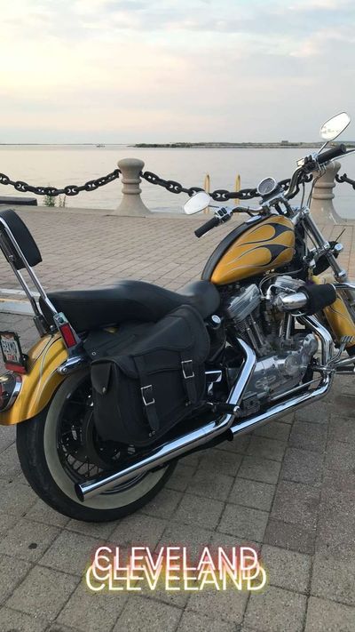 mrfuzzyacorns thumbnail