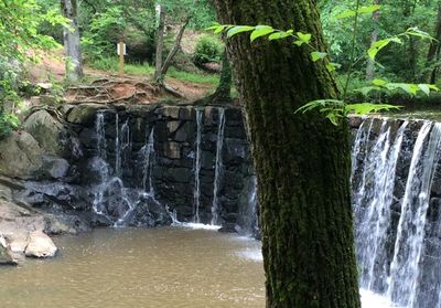 sizefifteenfeet thumbnail