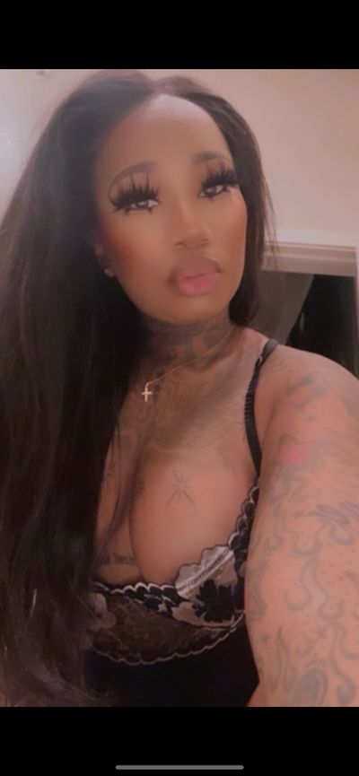 starblaze_vs_starblaze profile