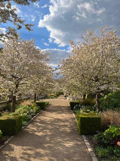 Babysecret thumbnail