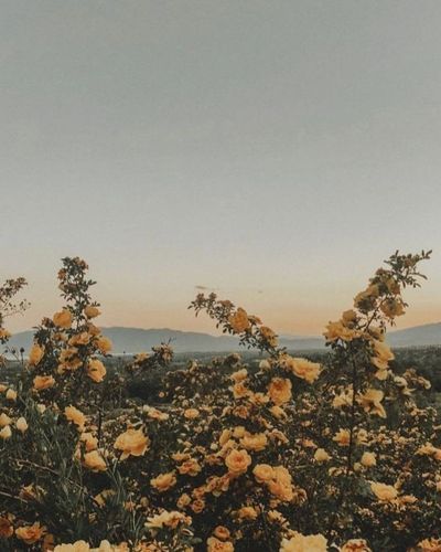 Ashley Mae thumbnail