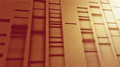 john.project.image thumbnail