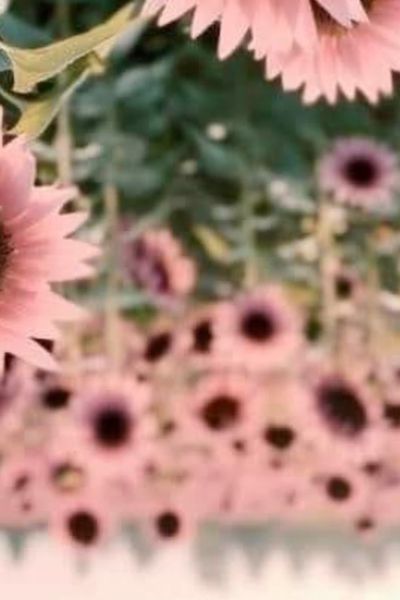 floweredkey thumbnail