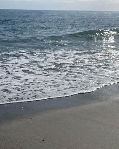 mywifeapproves thumbnail