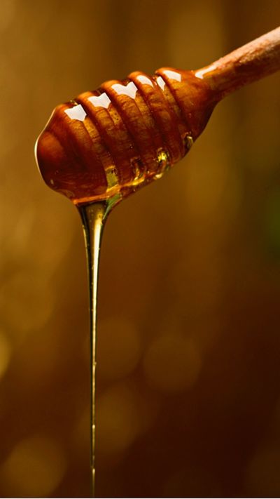 honeyhunncho thumbnail