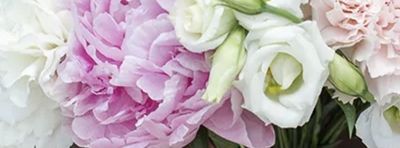 u188010082 thumbnail