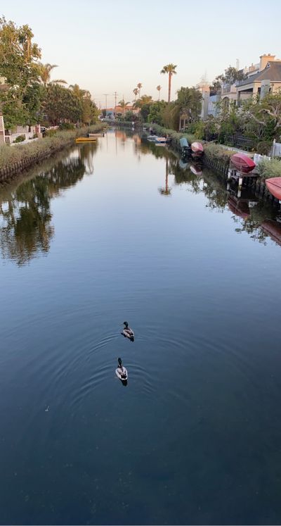 candybaby1718 thumbnail