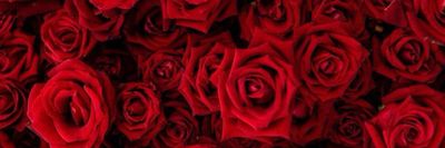 thicklatinagf thumbnail