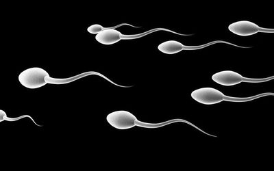 m0nsterhead thumbnail