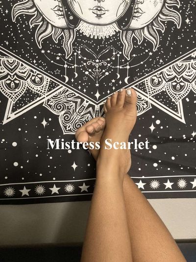 Mistress Scarlet thumbnail