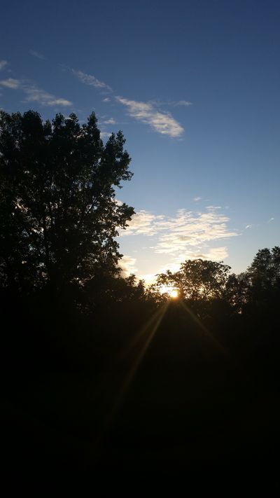 Sevenfold_izm thumbnail