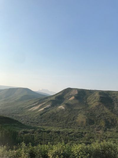 Nicole Green thumbnail