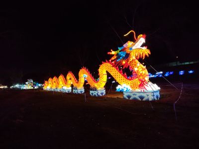 complacienterico thumbnail