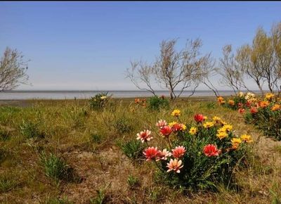 bananitadolcha thumbnail