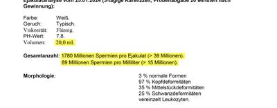 bighungbear thumbnail