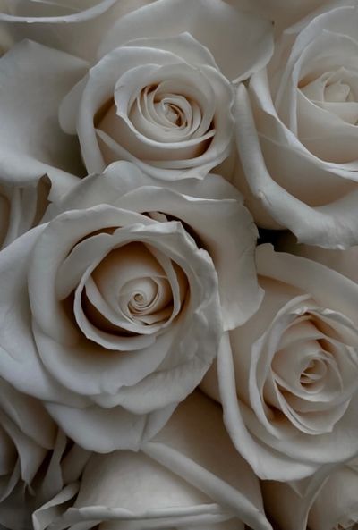 angelenergy222 thumbnail