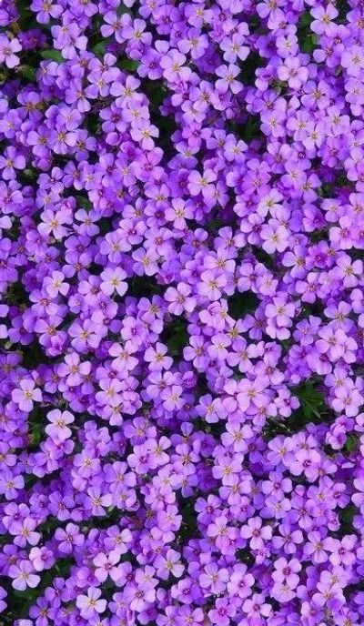 Girlymamaxo thumbnail