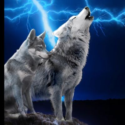 wickedsparky thumbnail