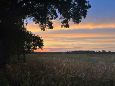 cowgirl1818 thumbnail