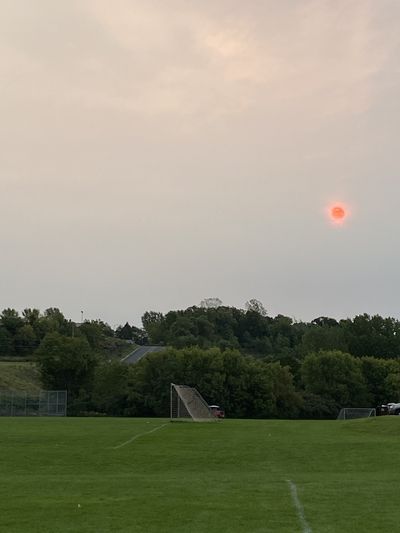 todoyotoni thumbnail