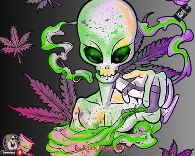 dopeweedlove13 profile