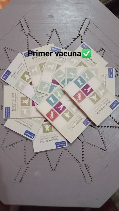 u177978467 thumbnail