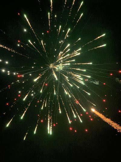 doggynoemi thumbnail