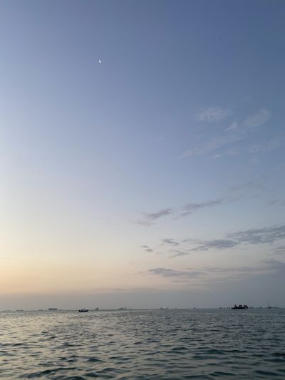 camilatorre thumbnail