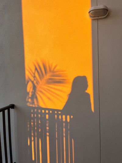 susanfox69 thumbnail