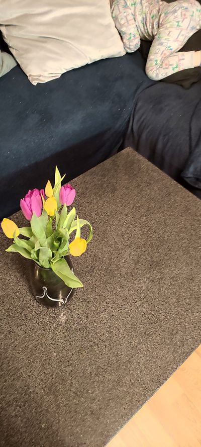 u229343213 thumbnail